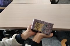 IMG_20231012_100157_1