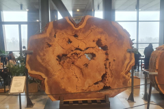 20251216_134917-Copy