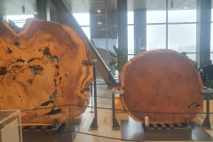 20251216_134930-Copy