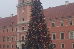 20251216_150138-Copy