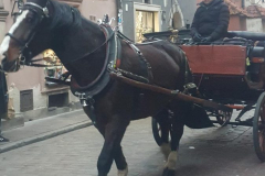 20251216_151543-Copy