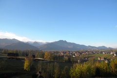 DSCN7352