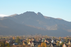 DSCN7353
