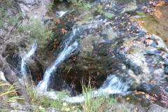 DSCN7364