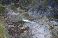 DSCN7367