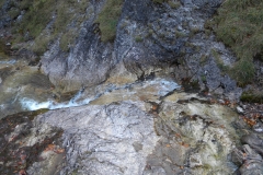 DSCN7368
