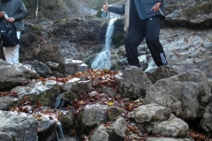 DSCN7375