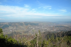 DSCN7381