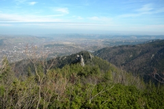 DSCN7382