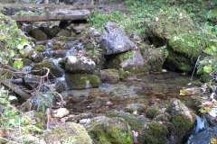 DSCN7393