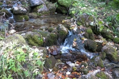 DSCN7394