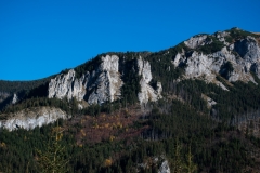DSC_2791