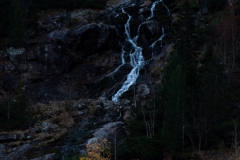 DSC_2852